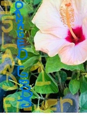 cover image of Island Flower, Damaged Goods